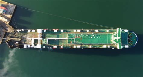 dapitan bay 1|Demography .